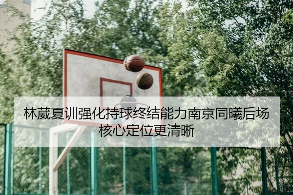 林葳夏训强化持球终结能力南京同曦后场核心定位更清晰